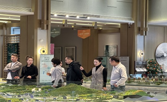 1.市图书馆副馆长朱亚玲一行莅临南山总公司温泉城项目旅行考察_副本.jpg