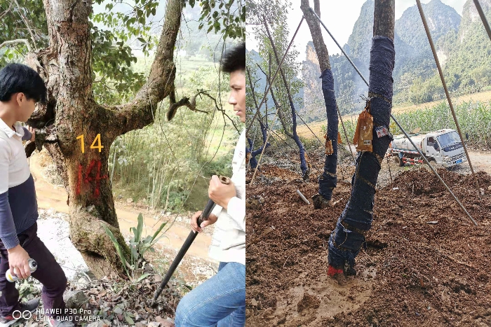 20210728083949989 开元游戏大厅app·(中国区)官方网站