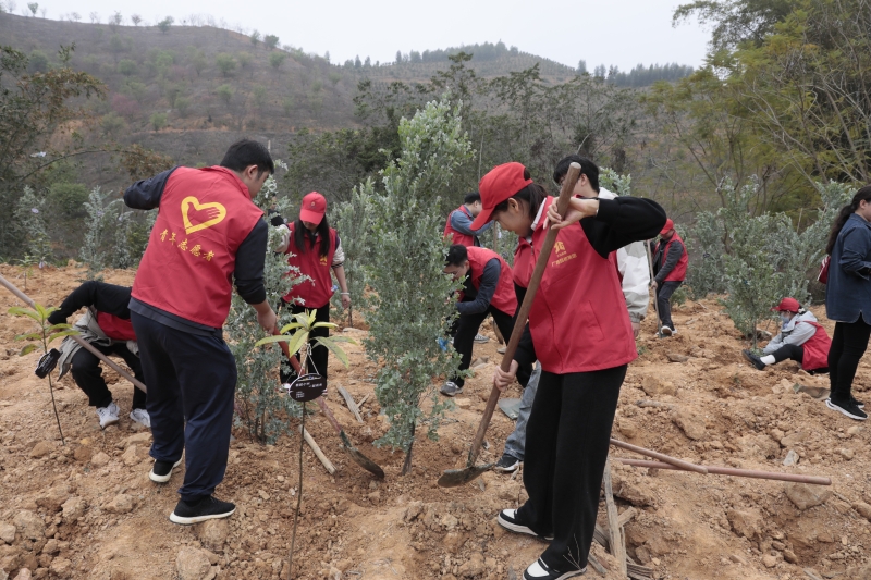 开元游戏大厅app·(中国区)官方网站