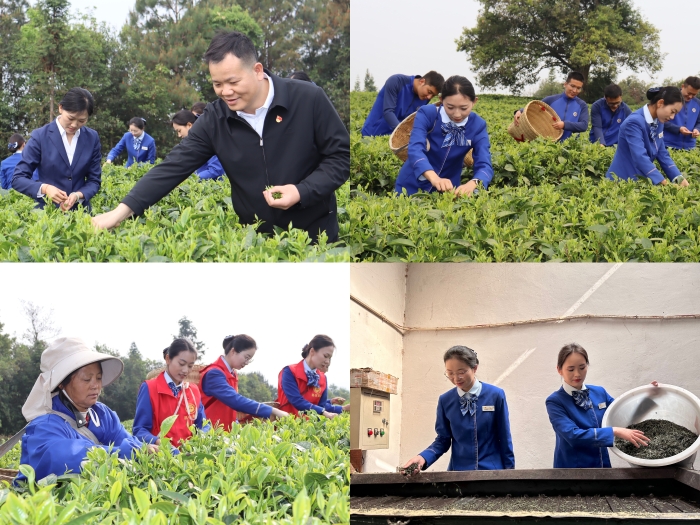 20250411103503493 开元游戏大厅app·(中国区)官方网站